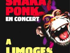 picture of SHAKA PONK